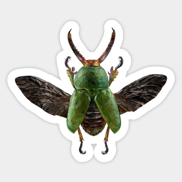 Saw Toothed Beetle Sticker by DesignDLW